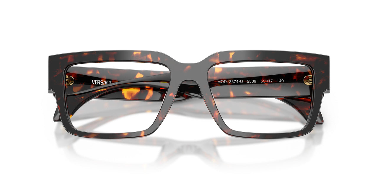 5509 - Tortoise
