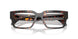 5509 - Tortoise