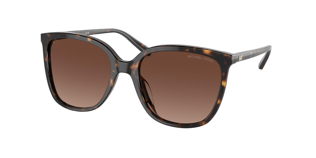 3006T5 - Havana - Brown Gradient Polar