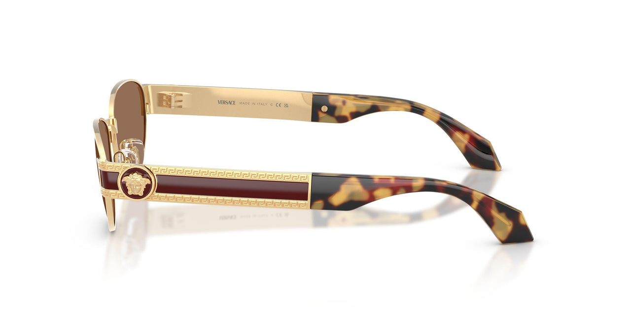 152373 - Gold - Dark Brown
