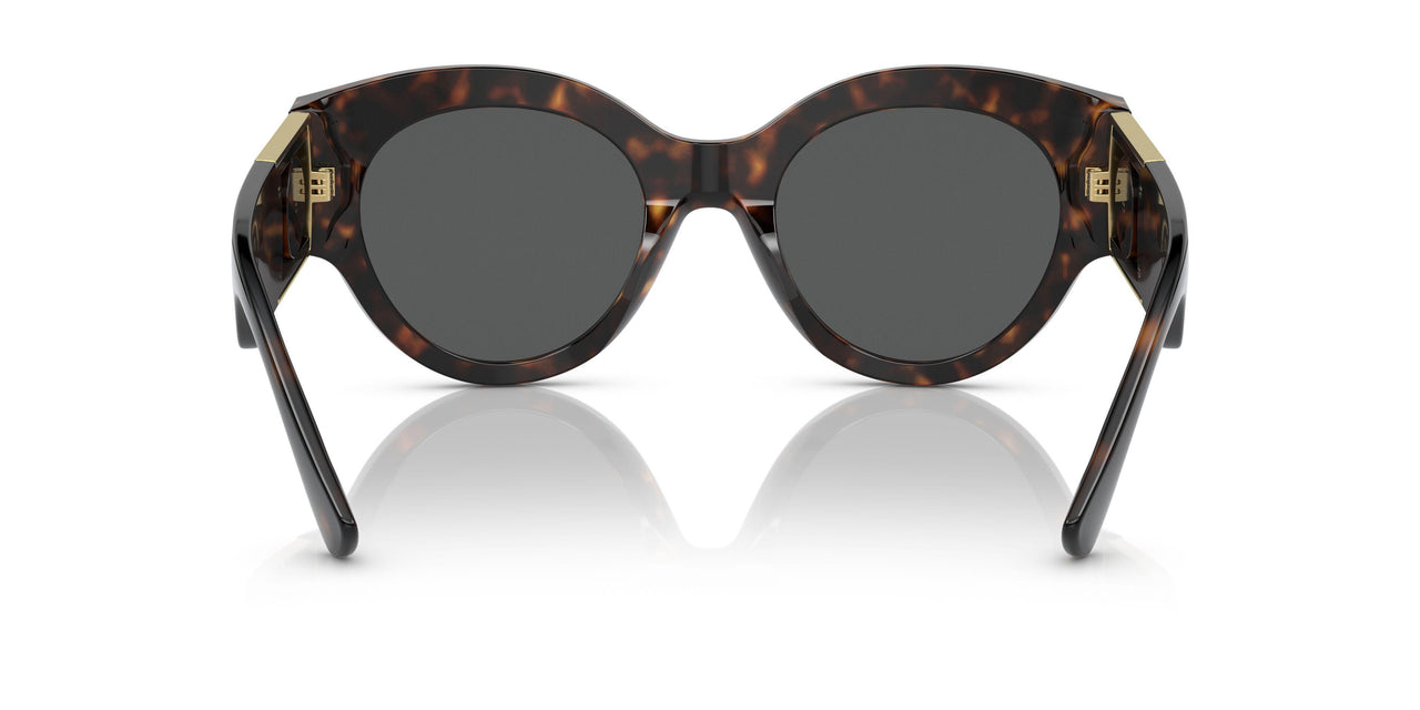 108/87 - Havana - Dark Grey