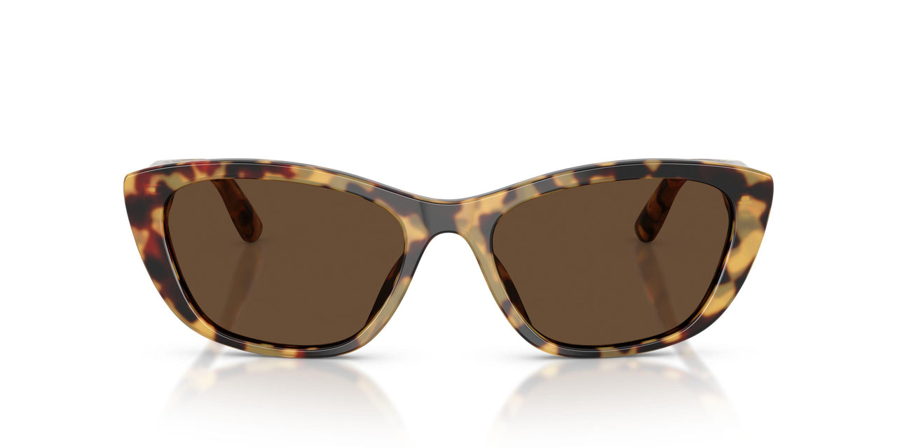 512/73 - Tortoise - Dark Brown