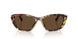 512/73 - Tortoise - Dark Brown