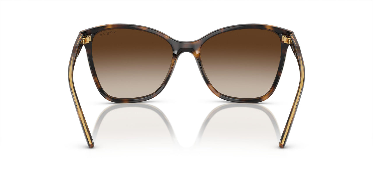 W65613 - Brown - Brown Gradient