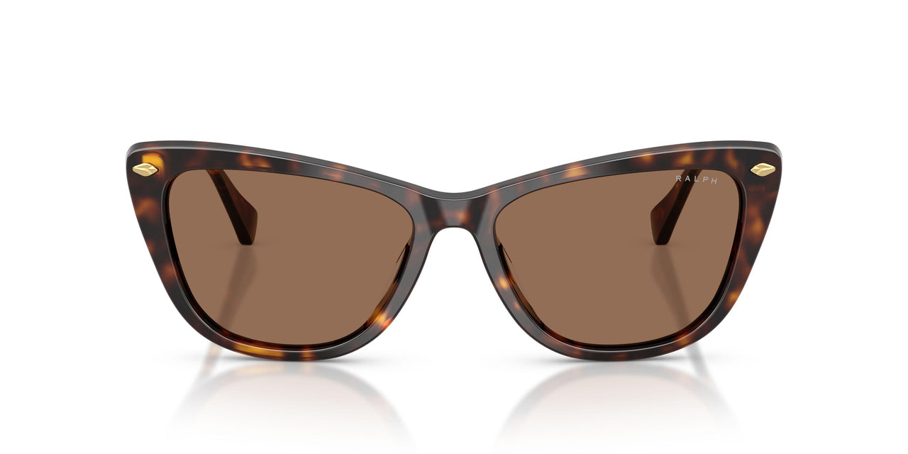 500373 - Tortoise - Brown