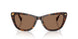 500373 - Tortoise - Brown