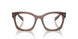 17O1O1 - Brown
