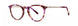 Vera Wang Ginger Eyeglasses