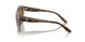 2990T5 - Light Brown - Polar Brown Gradient