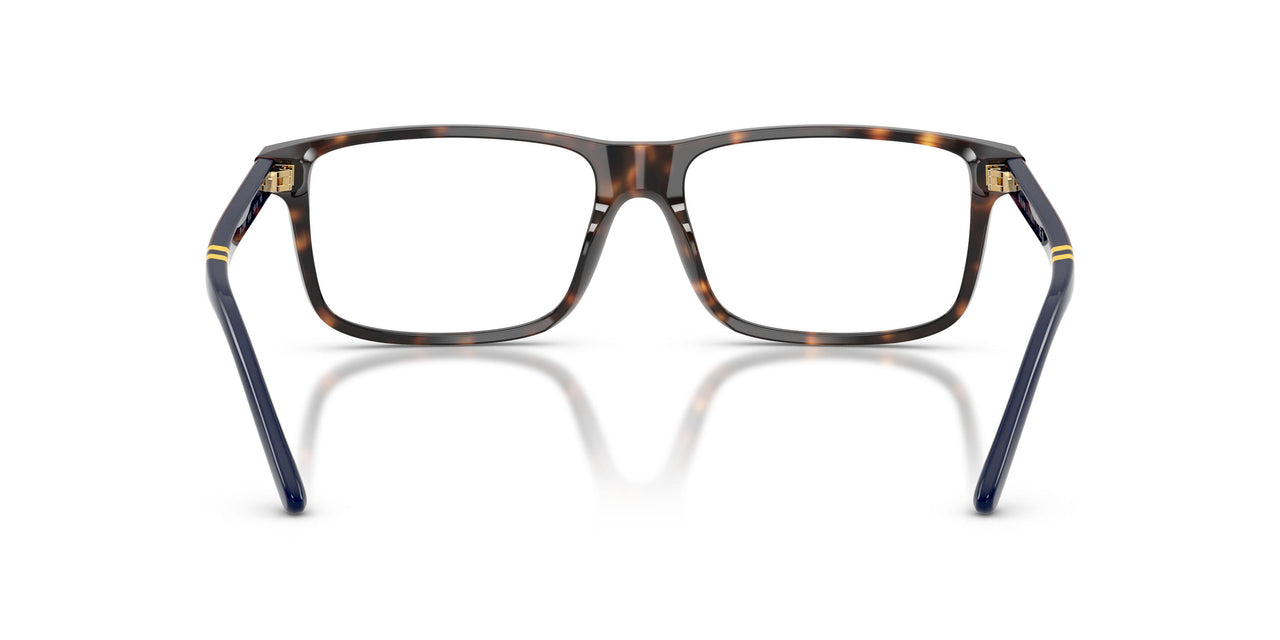 5003 - Tortoise