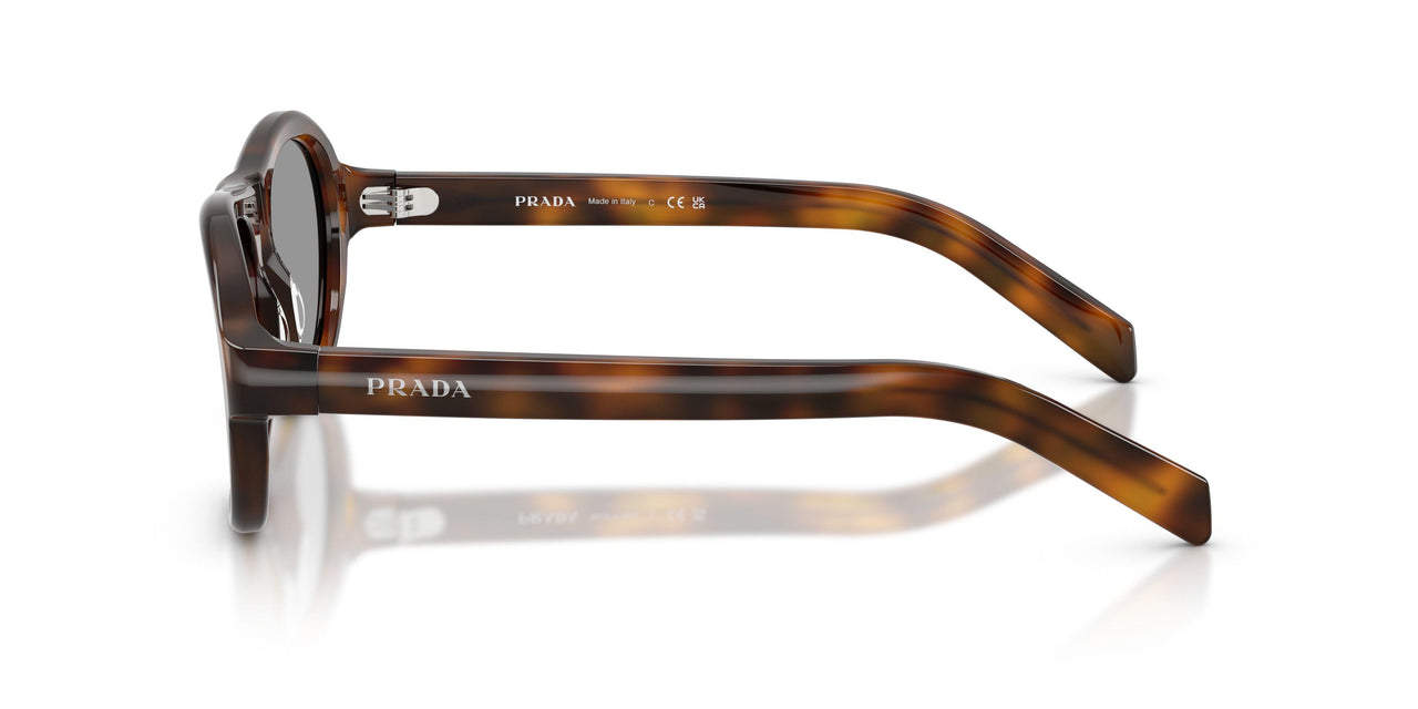 20D50Q - Havana Brown