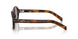 20D50Q - Havana Brown
