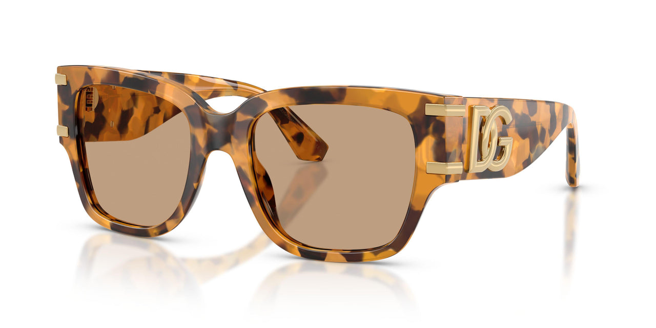 Dolce & Gabbana 4563 Sunglasses