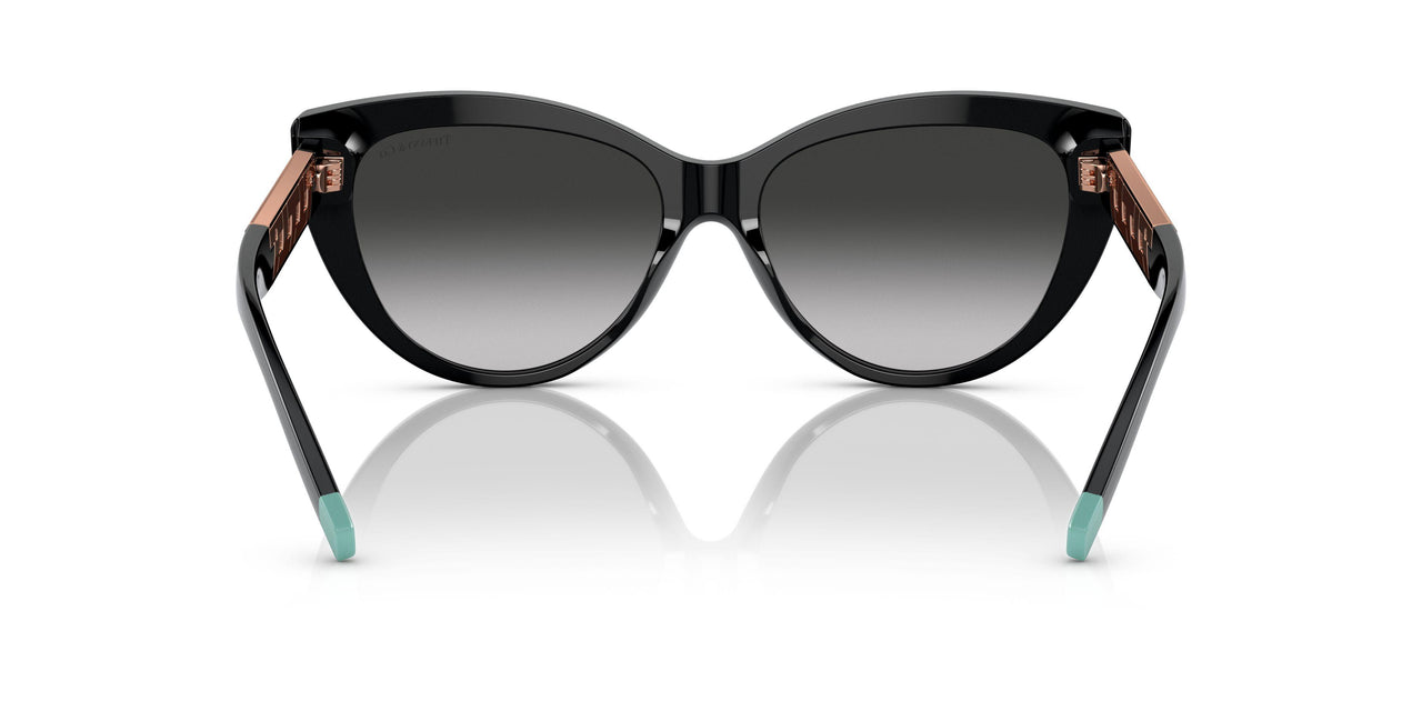 80013C - Black - Grey Gradient