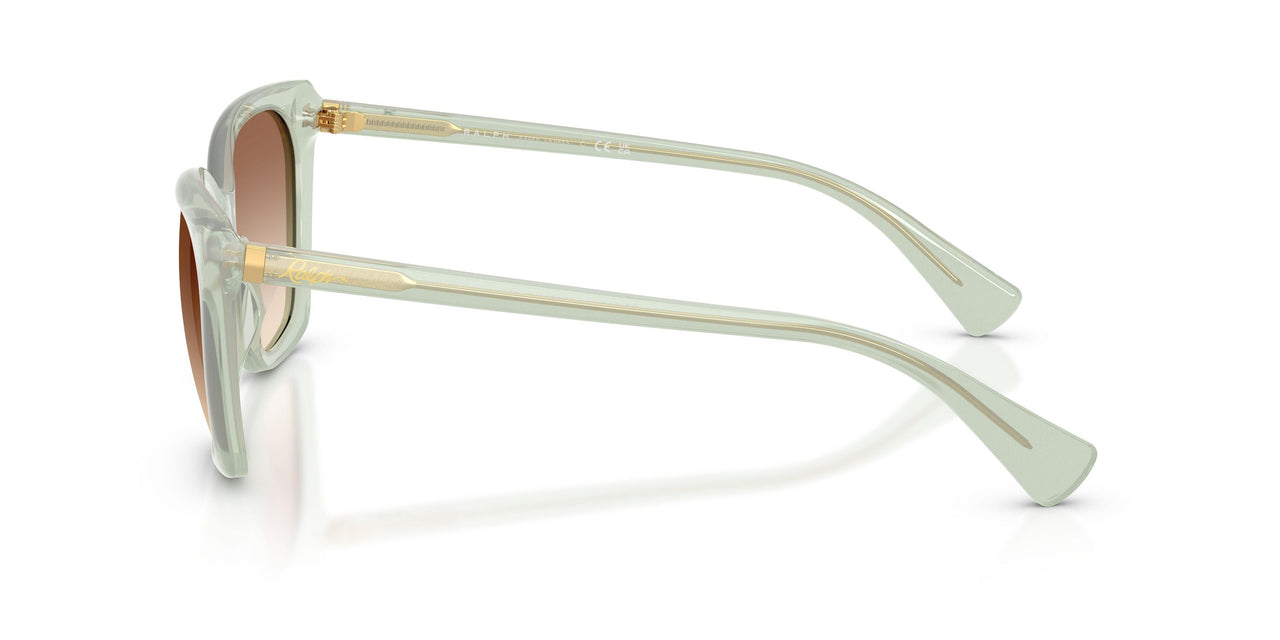 627813 - Green - Light Brown Gradient