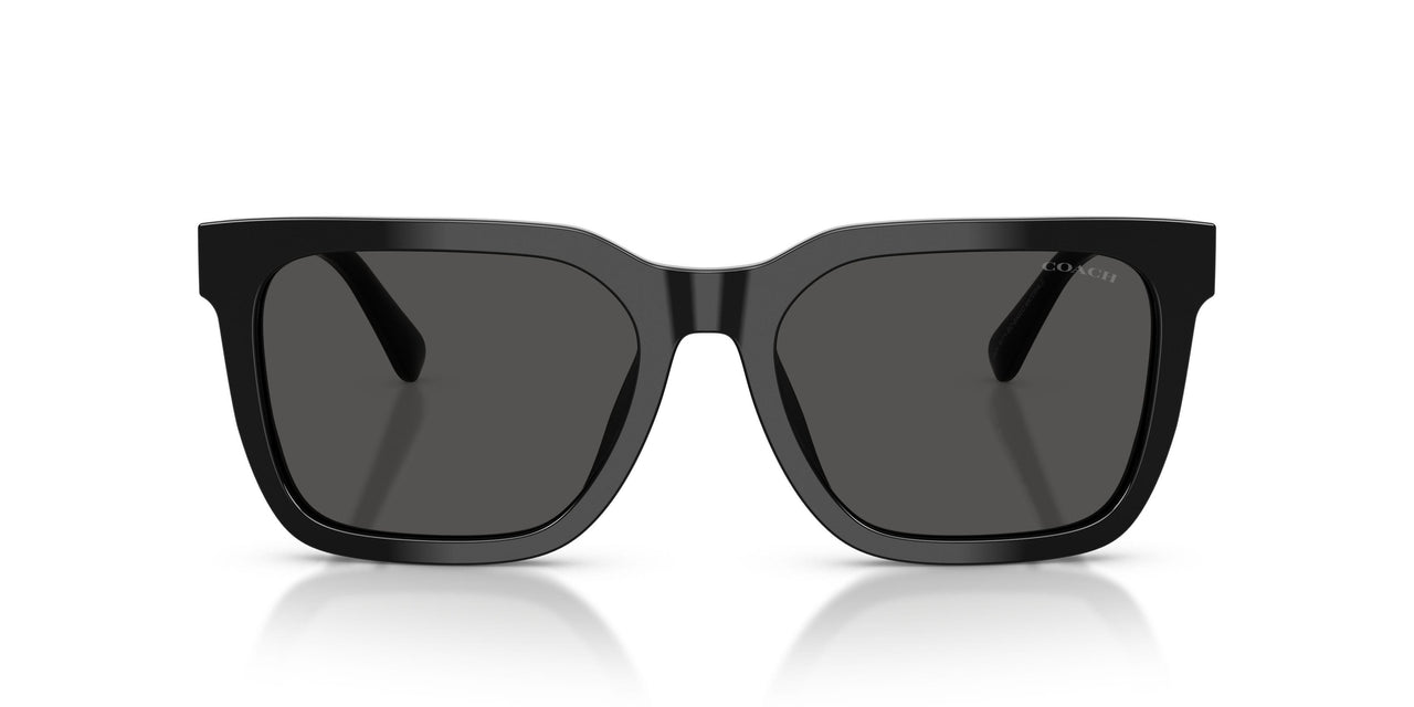 500287 - Black - Grey Solid