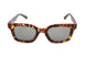 148.009 - HAVANA BROWN AND BLACK