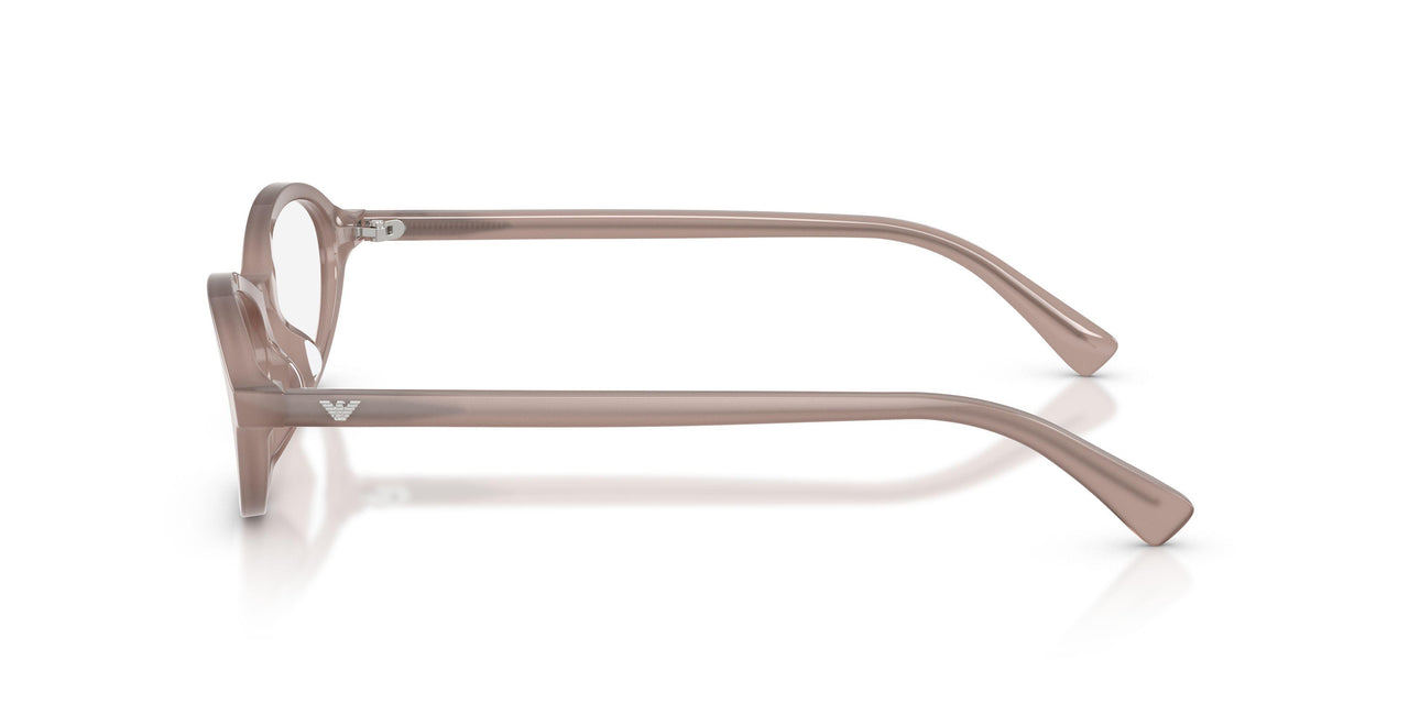 6456 - Brown