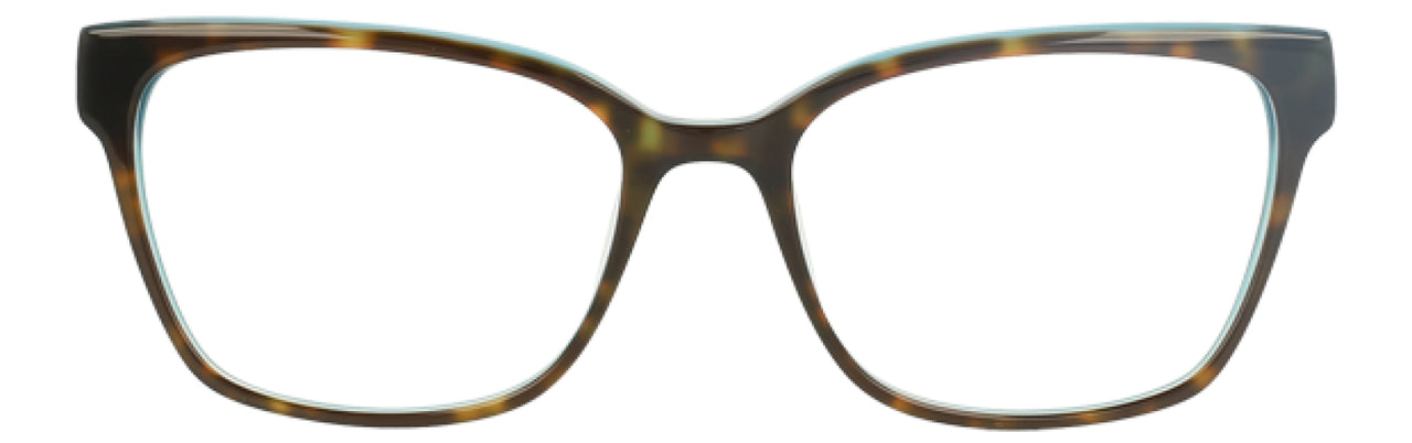 TTL - Tortoise Teal