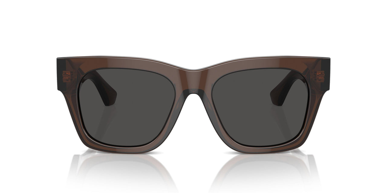411687 - Brown - Dark Grey
