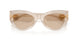 342093 - Ivory - Light Brown