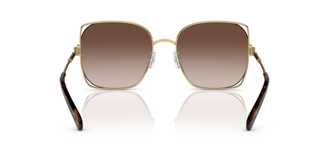 331613 - Gold - Light Brown Gradient Dark Brown