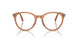 1213 - Brown
