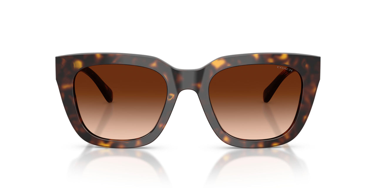 51208G - Tortoise - Brown Gradient