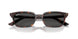 135987 - Tortoise - Dark Grey