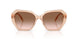 106313 - Brown - Gradient Brown