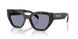 17N03N - Tortoise - Grey