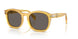 204/B1 - Yellow - Dark Grey
