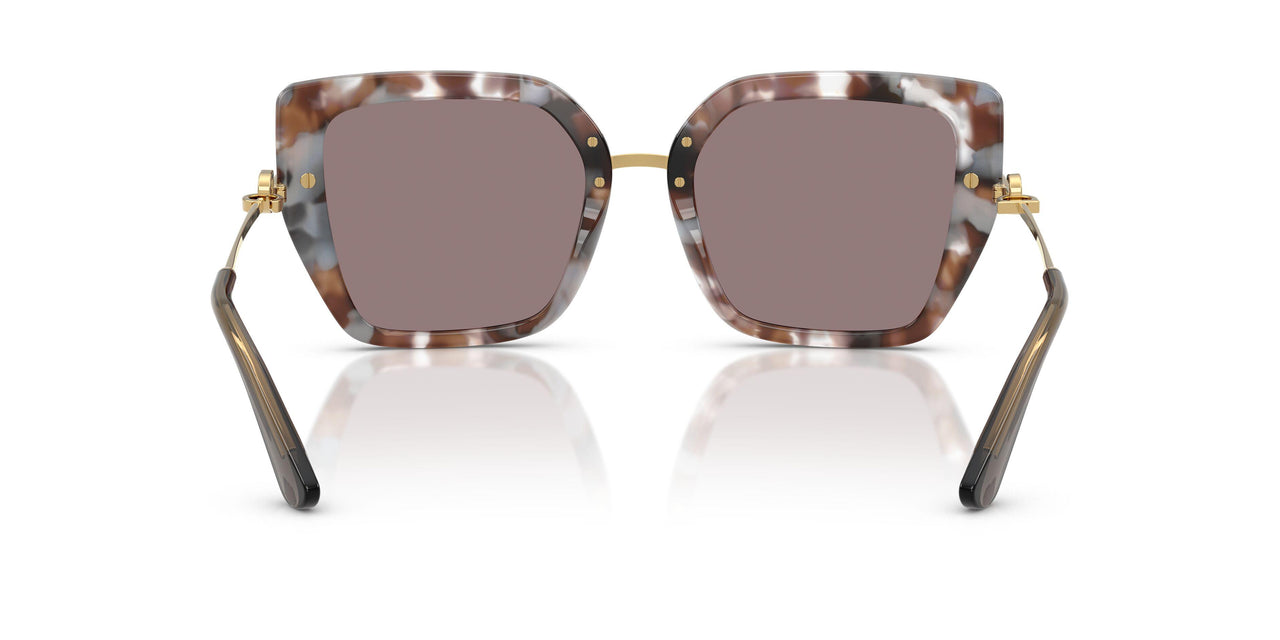 34457N - Tortoise - Purpe Brown