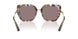 34457N - Tortoise - Purpe Brown
