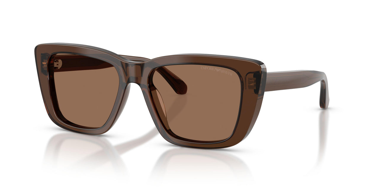 625173 - Brown - Dark Brown