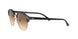 125651 - Havana - Clear Gradient Brown