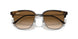 710/51 - Havana - Clear Gradient Brown