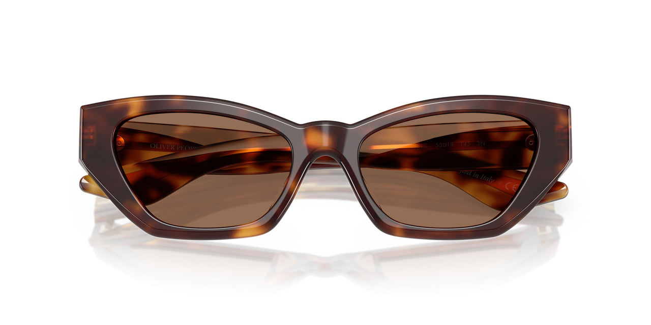 100773 - Tortoise - Brown