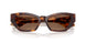 100773 - Tortoise - Brown