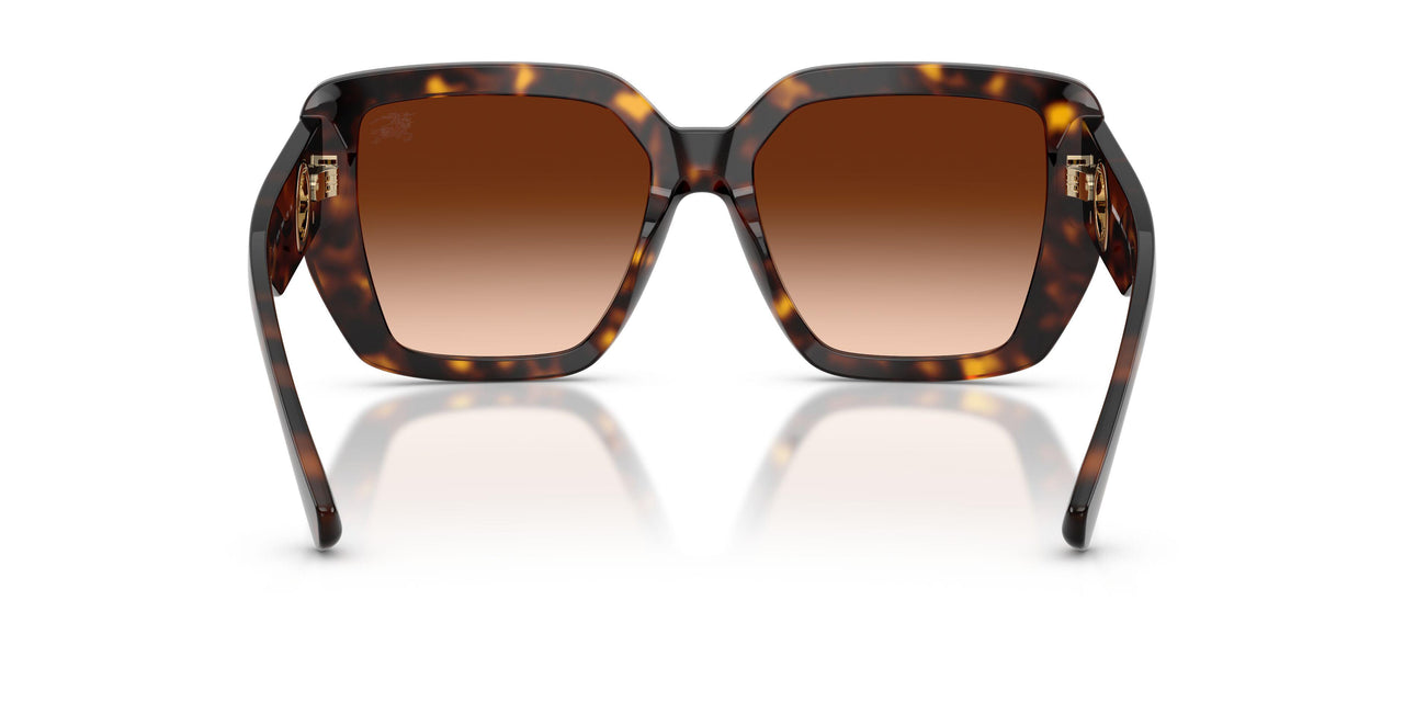 300274 - Brown - Brown Gradient