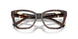 8015 - Tortoise