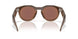 800206 - Brown - Prizm Deep Water Polarized
