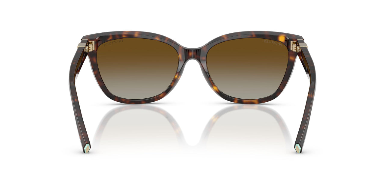 8015T5 - Tortoise - Polar Brown Gradient