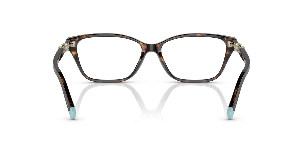 8015 - Tortoise