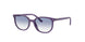 713119 - Violet - Blue
