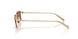 6244H2 - Gold - Brown