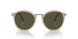 116931 - Brown - Green