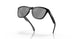 924587 - Black - Prizm Black Polarized