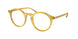 Polo 2260 Eyeglasses