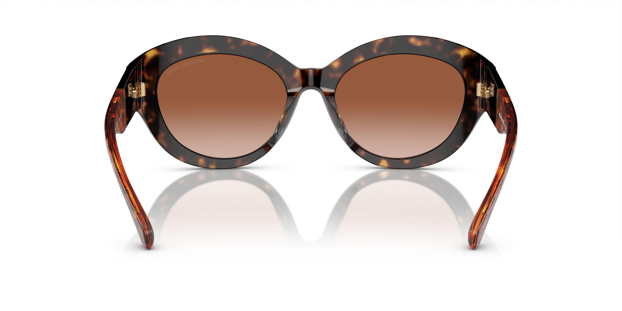 300613 - Tortoise - Brown Gradient